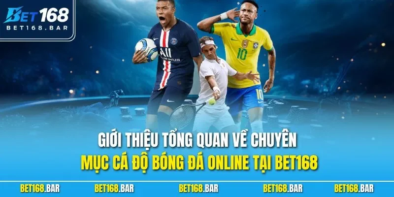 Giới thiệu tổng quan về chuyên mục cá độ bóng đá online tại BET168